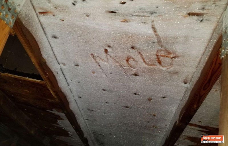 Formación de represamiento de hielo que lleva al crecimiento de moho en el ático