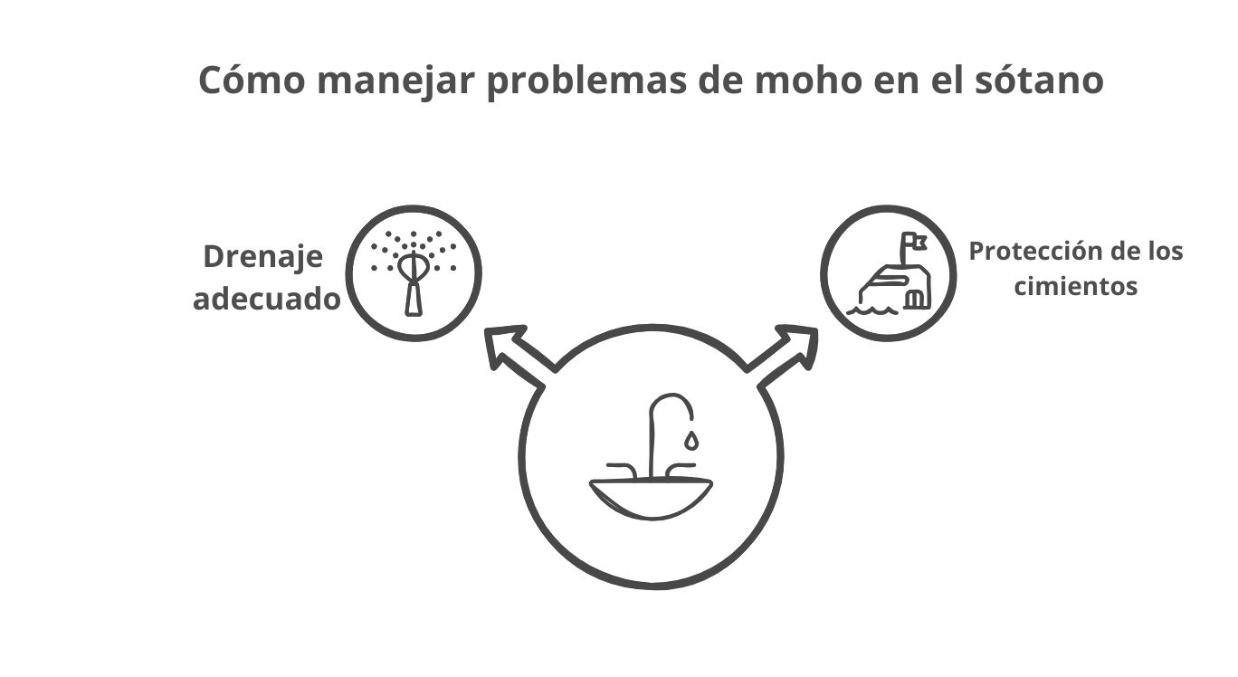 Abordando problemas de moho exterior en el sótano