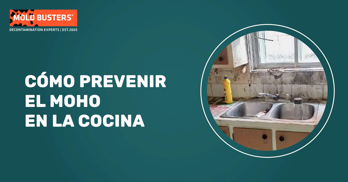 cómo prevenir el moho en la cocina