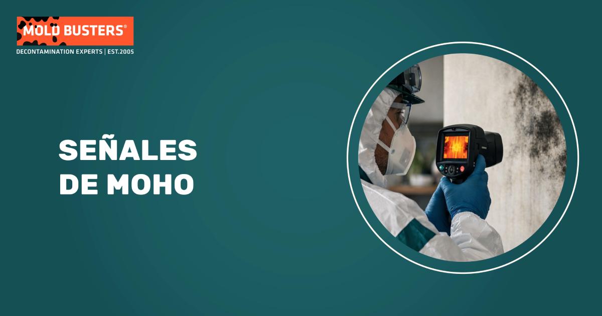 Señales de Moho en Casa